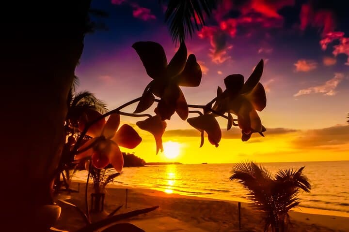 Private Saint Lucia Beachfront Sunset Tour — Rodney Bay & Gros Islet Highlights photo 6