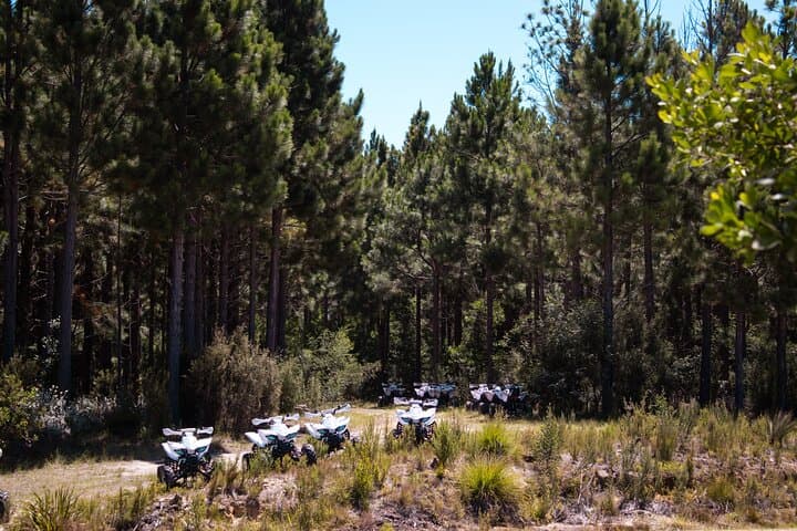 Tsitsikamma Quad Bike Tour: ATV Adventure in Tsitsikamma National Park photo 4