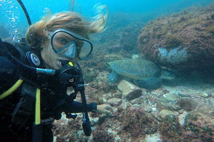 Baptism Dive with Turtles at Xavier Island — Beginner Scuba in Florianópolis photo 2