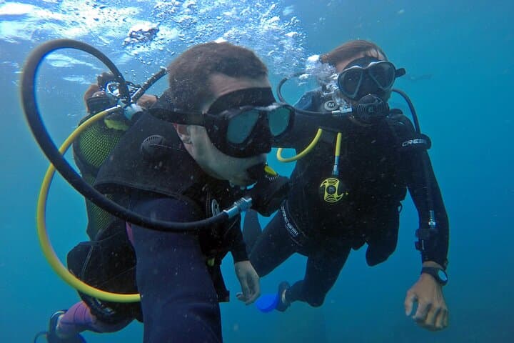Baptism Dive with Turtles at Xavier Island — Beginner Scuba in Florianópolis photo 4