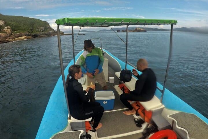Baptism Dive with Turtles at Xavier Island — Beginner Scuba in Florianópolis photo 6
