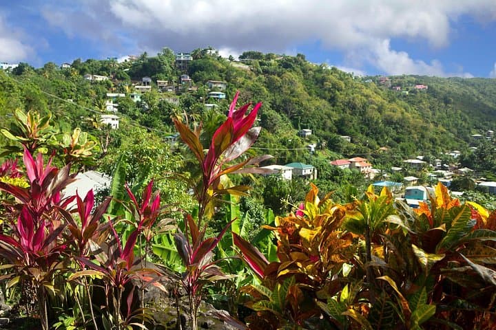 Private Saint Lucia Cultural Tour: Babonneau, Castries Market & Rodney Bay photo 2