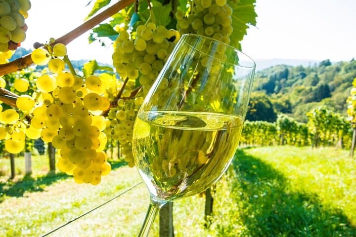 From Nice to Bellet: Provençal Market, Saint-Paul-de-Vence & Wine Tasting
