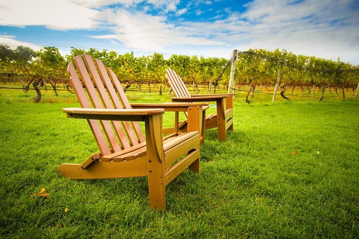 Half-Day Private Long Island Wine Tour — Osprey's Dominion & Duck Walk Tastings