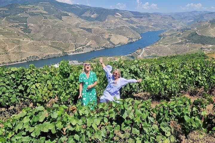 Douro Valley Premium: Boat Cruise, Lunch & Two Winery Tastings photo 4