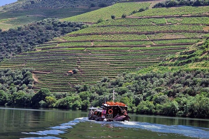 Douro Valley Premium: Boat Cruise, Lunch & Two Winery Tastings photo 5