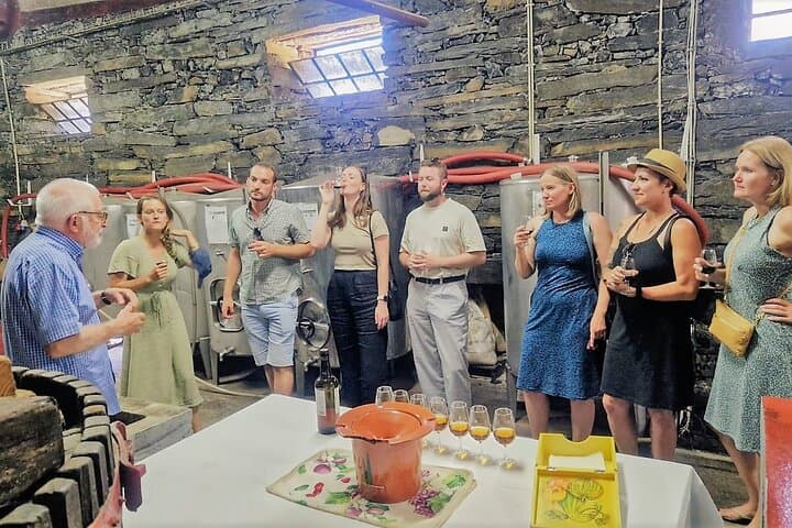 Douro Valley Premium: Boat Cruise, Lunch & Two Winery Tastings photo 3
