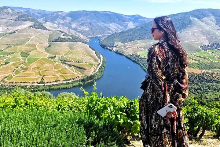 Douro Valley Premium: Boat Cruise, Lunch & Two Winery Tastings