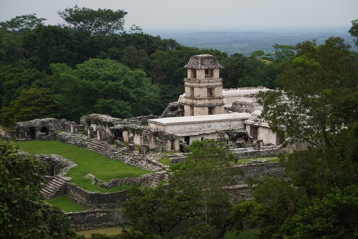 Guided Tour of Palenque Archaeological Zone: Jungle Ruins & Museum photo 5