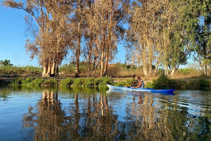 Kayak the Santa Gilla Lagoon: Private Guided Birding & Aperitif Near Cagliari photo 3