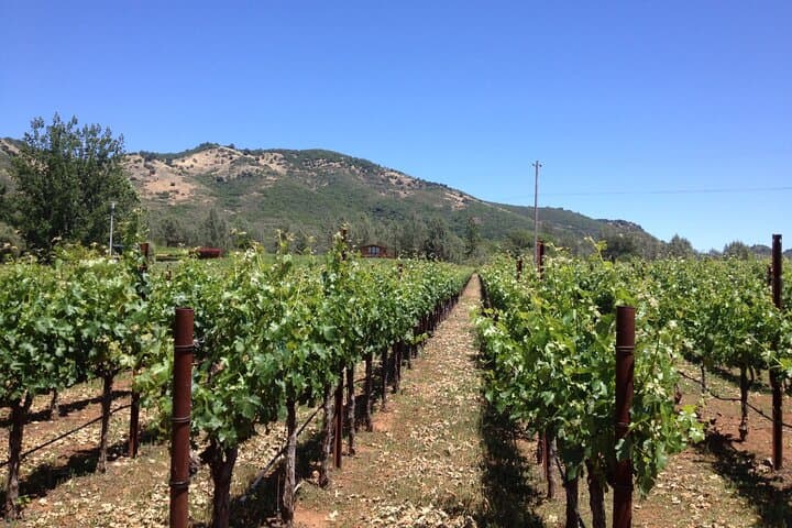 Private Fredericksburg Winery Transfer — Luxury Sprinter Wine Tour photo 5