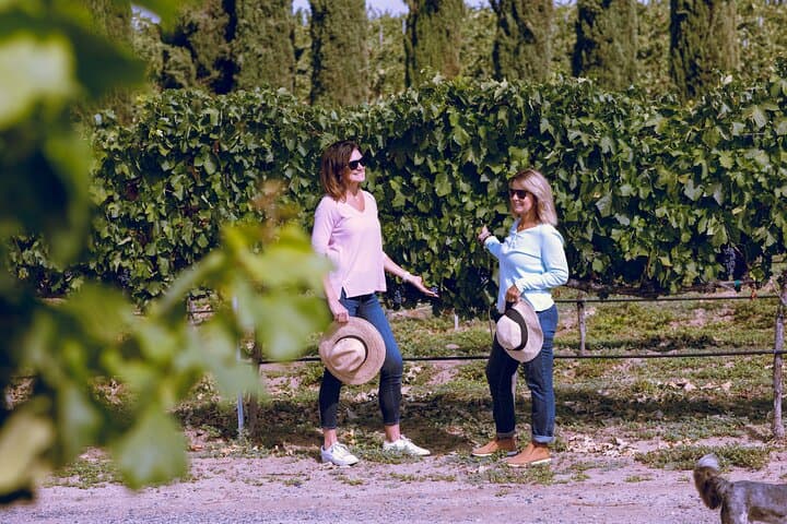 Private Luxury Napa Valley Transportation: Tailor Your Own Wine-Day photo 2