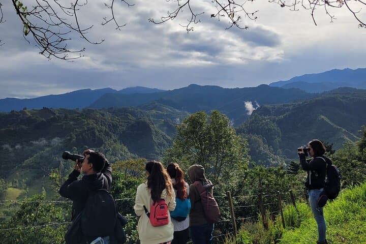 Salento Birding Route: Wax Palms, Hummingbirds & Coffee Hacienda Birds photo 4