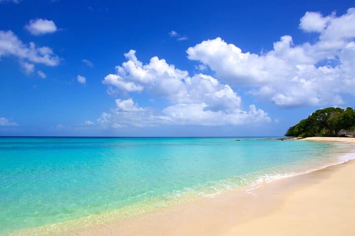 Luxury Barbados West Coast Cruise with Lunch, Open Bar & Turtle Snorkel photo 5