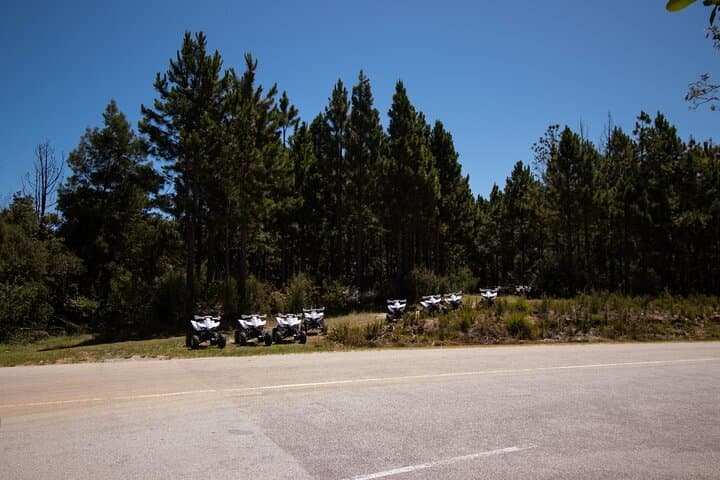 Tsitsikamma Quad Bike Tour: ATV Adventure in Tsitsikamma National Park photo 5