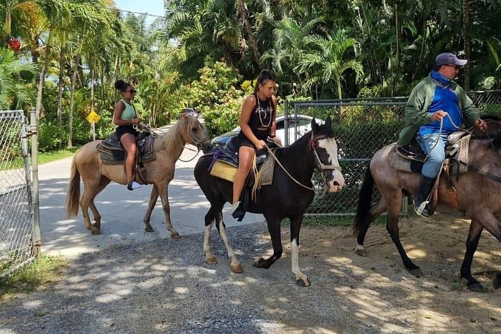 Horseback Riding and Zipline Eco Park Adventure in Roatan