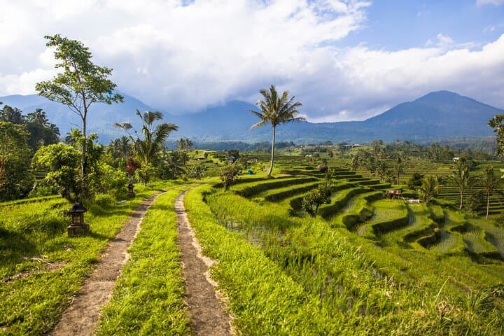 Bali Temple Trail: Tanah Lot, Batukaru & Jatiluwih Rice Terraces Private Tour photo 4