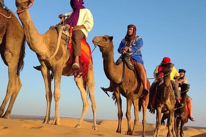 2-Day Zagora Sahara Escape: Camel Dunes & Ait Ben Haddou from Marrakech