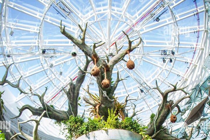 Inside The Green Planet Dubai: City Walk's Indoor Rainforest Experience
