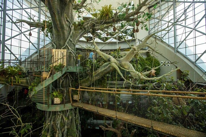 Inside The Green Planet Dubai: City Walk's Indoor Rainforest Experience photo 3