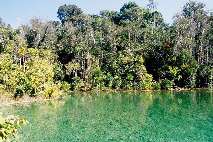 Krabi Jungle Tour — Emerald Pool, Hot Spring Waterfall & Tiger Cave Temple Day Trip photo 4
