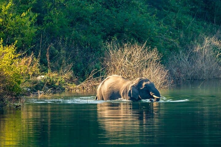 Dhikala Night Stay: Jim Corbett Forest Rest House Safari Experience photo 5