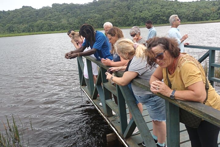 Grenada Half-Day Chocolate, Waterfalls & Grand Anse Beach Tour photo 5