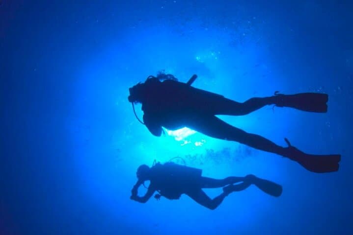 Scuba Diving in Paracas: Discover Sea Lions, Penguins & Coastal Reefs photo 4