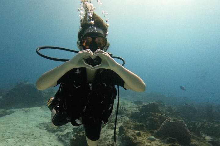 Introductory Cozumel Scuba: Two Guided Reef Dives with Equipment & Lunch