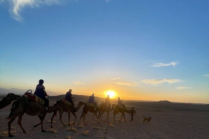 Agafay Desert Sunset Camel Ride & Dinner Show from Marrakech photo 2