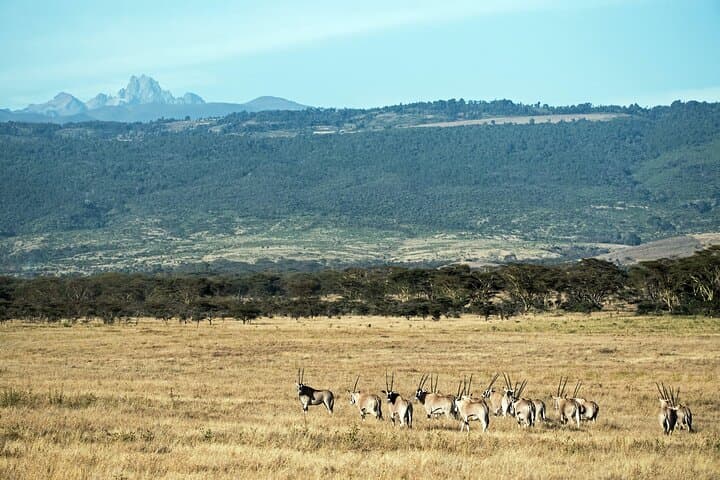 5-Day Chogoria–Sirimone Mount Kenya Trek: Summit Point Lenana via Chogoria Route photo 6