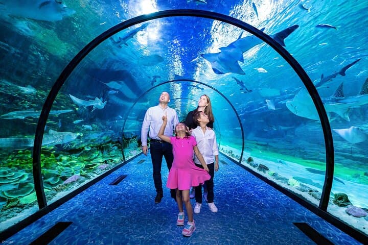 Inside the National Aquarium Abu Dhabi: A 60-Minute Deep Dive at Al Qana