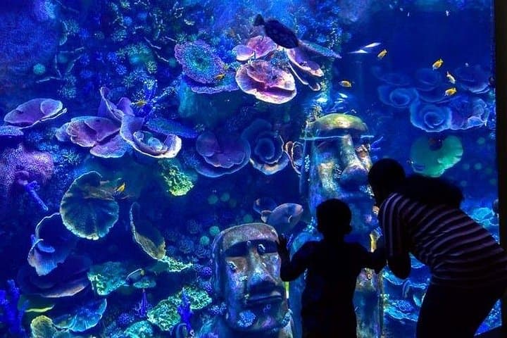 Inside the National Aquarium Abu Dhabi: A 60-Minute Deep Dive at Al Qana photo 2