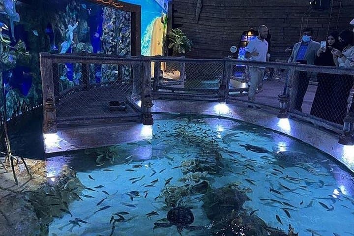 Inside the National Aquarium Abu Dhabi: A 60-Minute Deep Dive at Al Qana photo 3