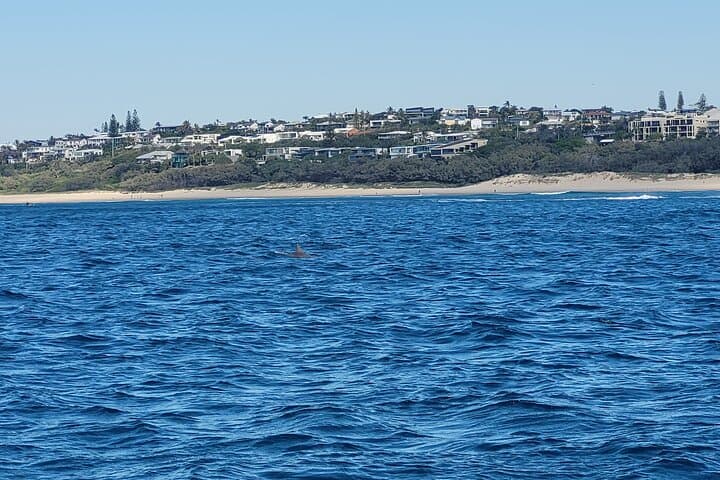 Noosa Surf and Snorkel: Mudjimba Island Half-Day Boat Charter photo 2