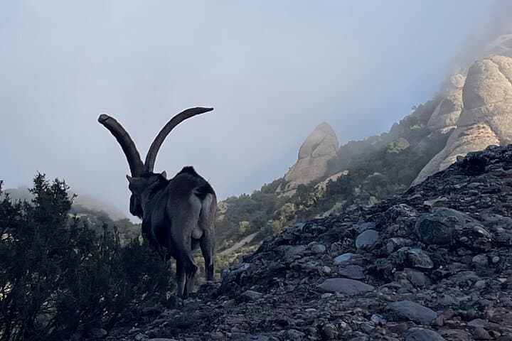 Two-Day Montserrat Hike: Refuge-to-Monastery 360 Route photo 2