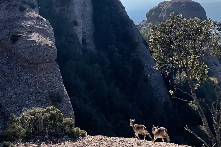 Two-Day Montserrat Hike: Refuge-to-Monastery 360 Route photo 6