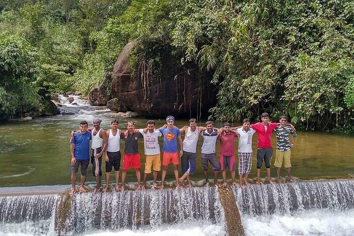 Anakulam Wild Elephant & Waterfalls Day Tour — Munnar’s Elephant Viewpoint and Waterfall Trek photo 2