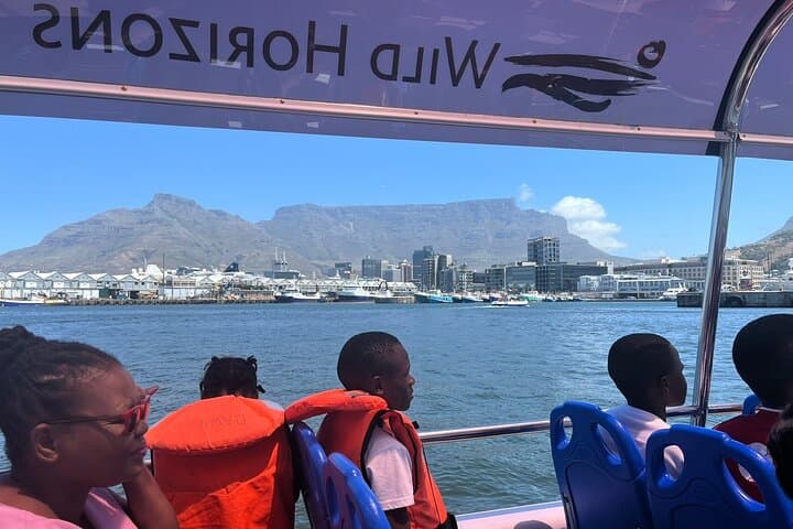30-Minute Harbour Cruise in Cape Town — Table Mountain Views & Seal Sightings