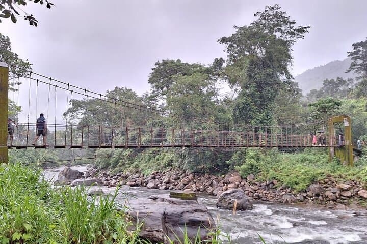 Anakulam Wild Elephant & Waterfalls Day Tour — Munnar’s Elephant Viewpoint and Waterfall Trek photo 4