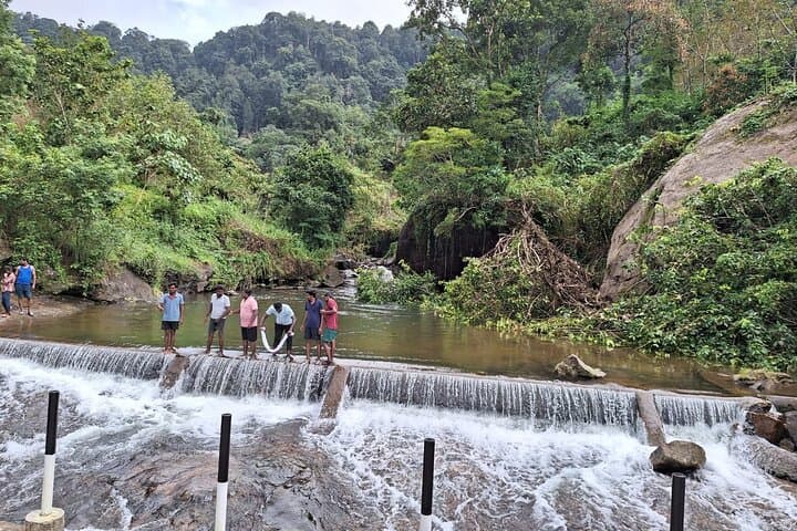 Anakulam Wild Elephant & Waterfalls Day Tour — Munnar’s Elephant Viewpoint and Waterfall Trek photo 5