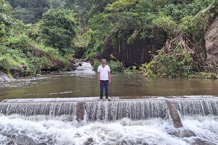Anakulam Wild Elephant & Waterfalls Day Tour — Munnar’s Elephant Viewpoint and Waterfall Trek photo 6