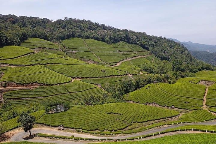 Munnar Sandalwood & Waterfall Day Tour: Eravikulam, Marayoor & Tea Views photo 1