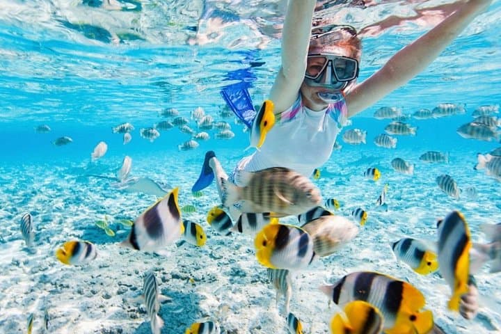 Private Snorkeling Tour in Nha Trang: Hon Mieu & Mini Beach Half-Day Trip