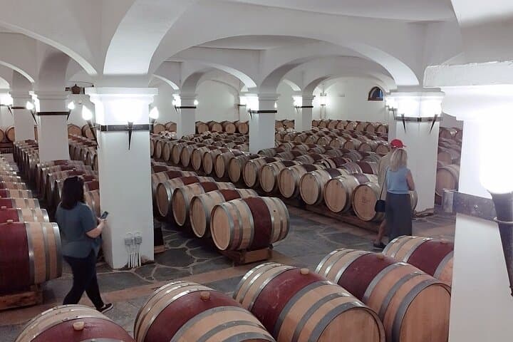 South of Portugal 5-Day Private Tour: Algarve, Alentejo & Alqueva photo 3