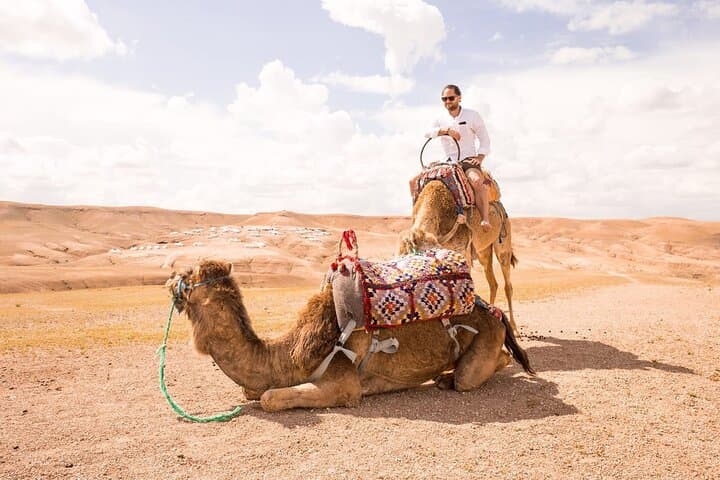 Majorelle Garden & Agafay Camel Ride: Marrakech Day Trip with Lunch photo 2