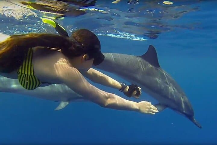 Dolphin & Tumbatu Island Snorkeling Tour from Nungwi, Zanzibar photo 6