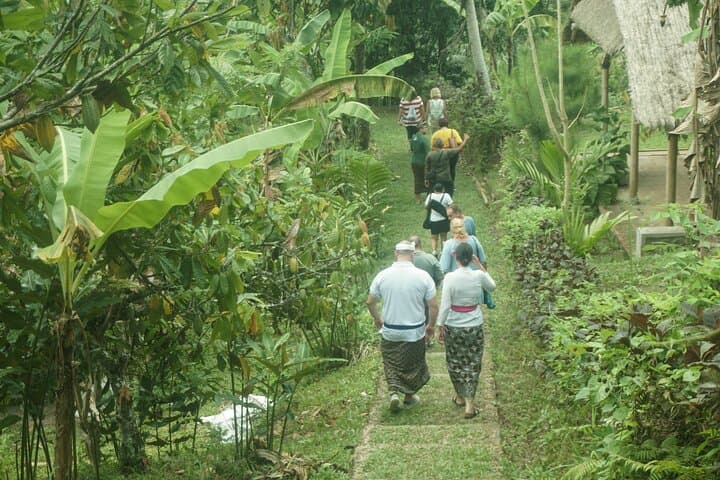 Private Balinese Purification & Blessing Ceremony in Tabanan — Temple Ritual, Herb Garden & Local Lunch photo 2