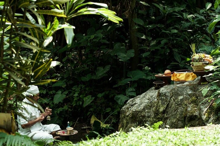 Private Balinese Purification & Blessing Ceremony in Tabanan — Temple Ritual, Herb Garden & Local Lunch photo 4