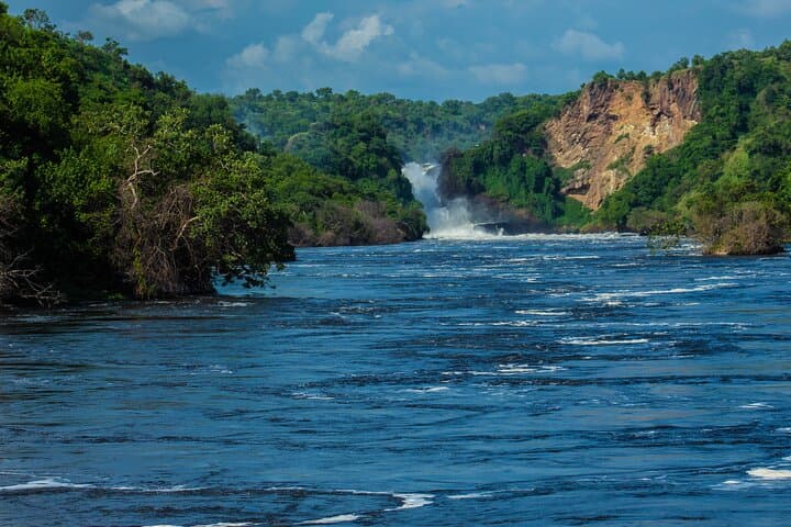 8-Day Uganda Safari: Chimp Trekking, Murchison Falls & Source of the Nile photo 4